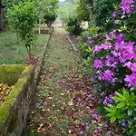 Solar Dos Araujo Coutinho - Casa Dos Cavaleiros - Turismo Habitacao ホームステイ Vila da Ponte (Viseu)
