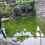 Solar Dos Araujo Coutinho - Casa Dos Cavaleiros - Turismo Habitacao