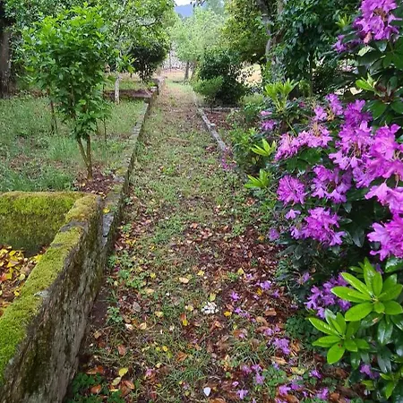 Solar Dos Araujo Coutinho - Casa Dos Cavaleiros - Turismo Habitacao Privat bolig Vila da Ponte (Viseu)
