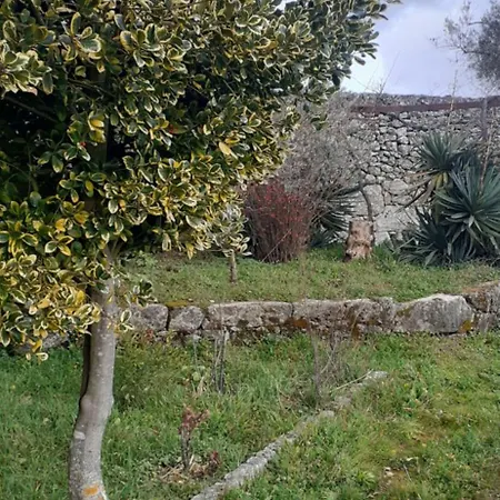 Séjour chez l'habitant Solar Dos Araújo Coutinho - Casa Dos Cavaleiros - Turismo Vila da Ponte (Viseu)