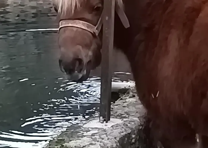 Habitación en casa particular Solar Dos Araújo Coutinho - Casa Dos Cavaleiros - Turismo Vila da Ponte (Viseu)