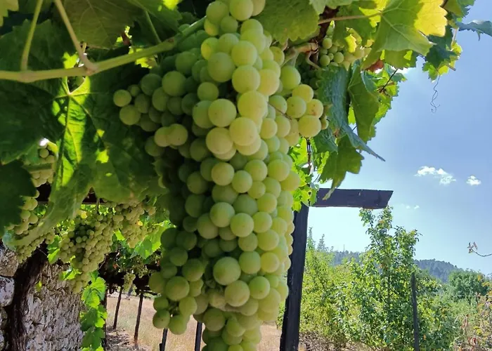 Habitación en casa particular Solar Dos Araújo Coutinho - Casa Dos Cavaleiros - Turismo