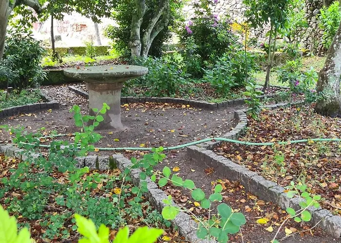 Solar Dos Araújo Coutinho - Casa Dos Cavaleiros - Turismo *