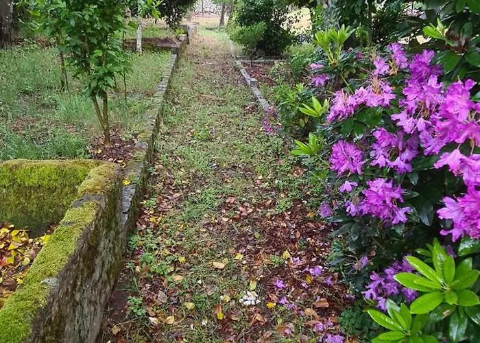 Solar Dos Araújo Coutinho - Casa Dos Cavaleiros - Turismo Habitación en casa particular Vila da Ponte (Viseu)