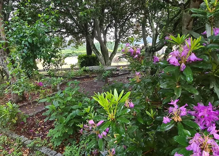 Solar Dos Araújo Coutinho - Casa Dos Cavaleiros - Turismo *