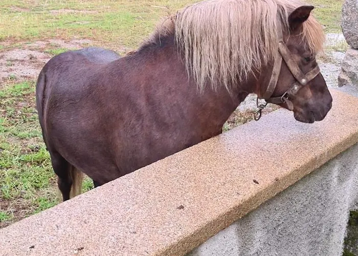 Habitación en casa particular Solar Dos Araújo Coutinho - Casa Dos Cavaleiros - Turismo